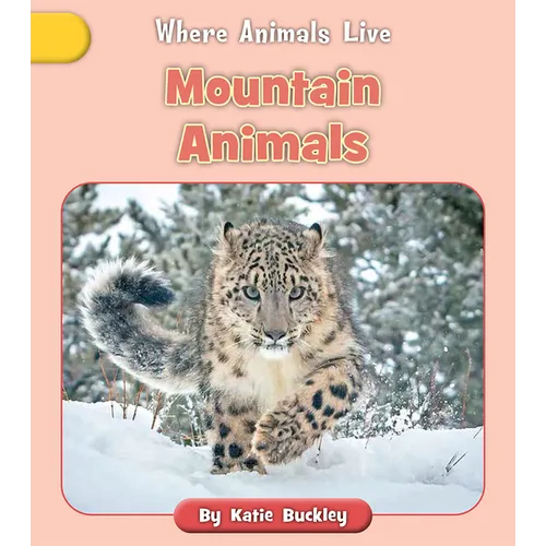 Mountain Animals