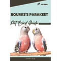 Bourke's Parakeet: Pet bird guide