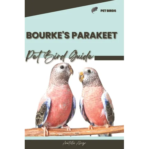 Bourke's Parakeet: Pet bird guide