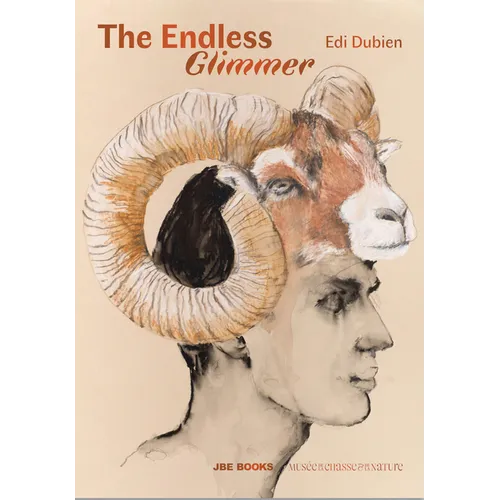 EDI Dubien: The Endless Glimmer