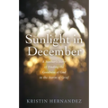 Sunlight in December: A Mother's Story of Finding the Goodness of God in the Storm of Grief