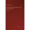 The Pony Rider Boys in New Mexico; Or, The End of the Silver Trail: in large print