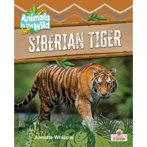 Siberian Tiger