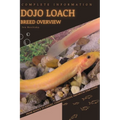Dojo Loach: From Novice to Expert. Comprehensive Aquarium Fish Guide