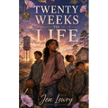 Twenty Weeks to Life: YA Christian Romance Novel