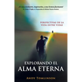 Explorando El Alma Eterna - Perspectivas de La Vida Entre Vidas