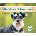 Miniature Schnauzers