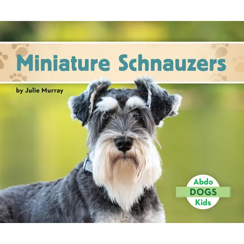 Miniature Schnauzers