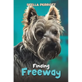 Finding Freeway