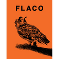 Flaco: The Owl Who Escaped Captivity and Won the Hearts of the World