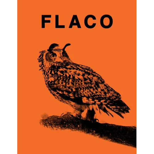 Flaco: The Owl Who Escaped Captivity and Won the Hearts of the World
