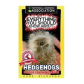 Everything You Should Know About: Hedgehogs