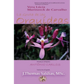 La Gruta de Las Orquídeas