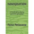 Immigration: Is South Africa facing economic genocide?