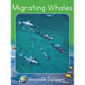 Migrating Whales: Fluency Launch