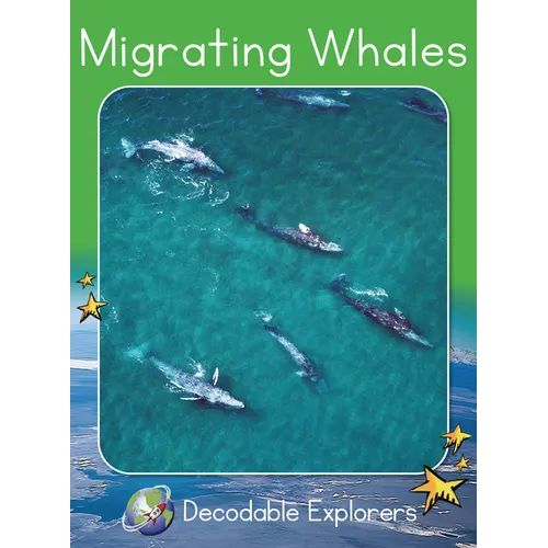 Migrating Whales: Fluency Launch
