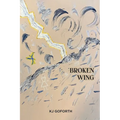 Broken Wing