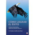 Cómo lograr el éxito