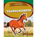 Thoroughbred