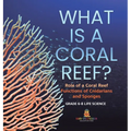 What is a Coral Reef? Role of a Coral Reef Functions of Cnidarians and Sponges Grade 6-8 Life Science