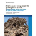 Promouvoir Une Prospérité Partagée Au Tchad: Voies Et Préalables Dans Un Pays Enclavé En Proie À La Fragilité Et Aux Conflits