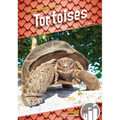 Tortoises