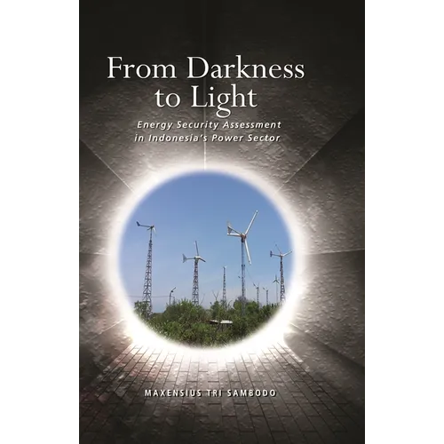 From Darkness to Light: Energy Security Assessment in Indonesia's Power Sector