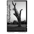 Holonym