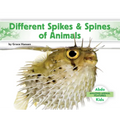 Different Spikes & Spines of Animals