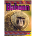 Baboon