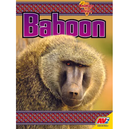 Baboon