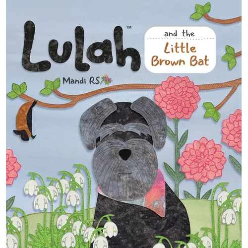 Lulah and the Little Brown Bat