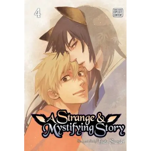 A Strange & Mystifying Story, Vol. 4