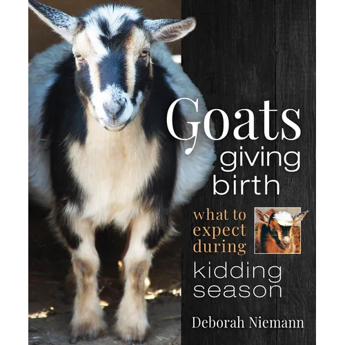 Goats Giving Birth: What to Expect During Kidding Season