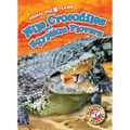 Nile Crocodiles and Egyptian Plovers