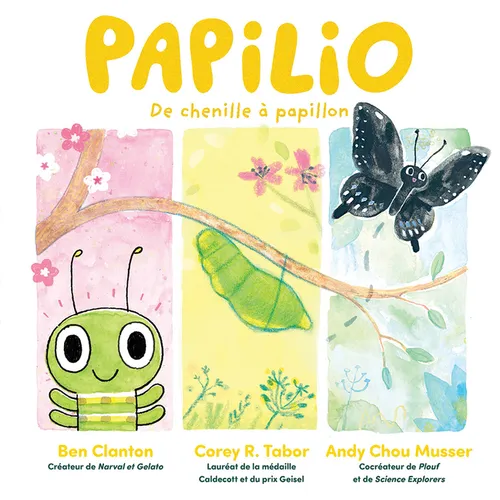 Papilio: de Chenille À Papillon