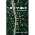 Possible: A Sociocultural Theory
