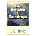 Life Between the Raindrops