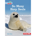 So Many Harp Seals