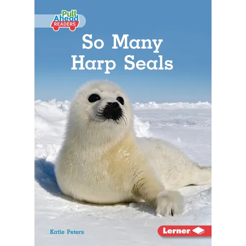 So Many Harp Seals