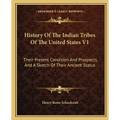 History Of The Indian Tribes Of The United States V1: Their Present Condition And Prospects, And A Sketch Of Their Ancient Status