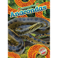 Anacondas