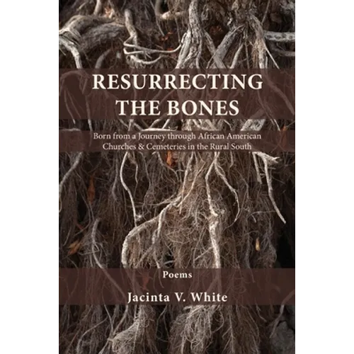 Resurrecting the Bones: Born from a Journey through African American Churches & Cemeteries in the Rural South