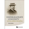 Undergraduate Convexity
