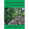 Ruminations of a Rhyming Rhino: More Silly and Serious Stuff from John Lloyd Chipembere Lwanda