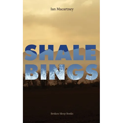 Shale Bings