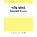 On The Prehistoric Remains Of Kentucky