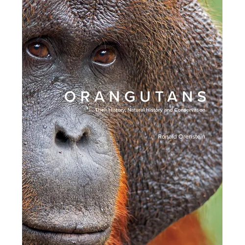 Orangutans: Their History, Natural History and Conservation