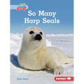 So Many Harp Seals