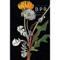 Birmingham Poetry Review